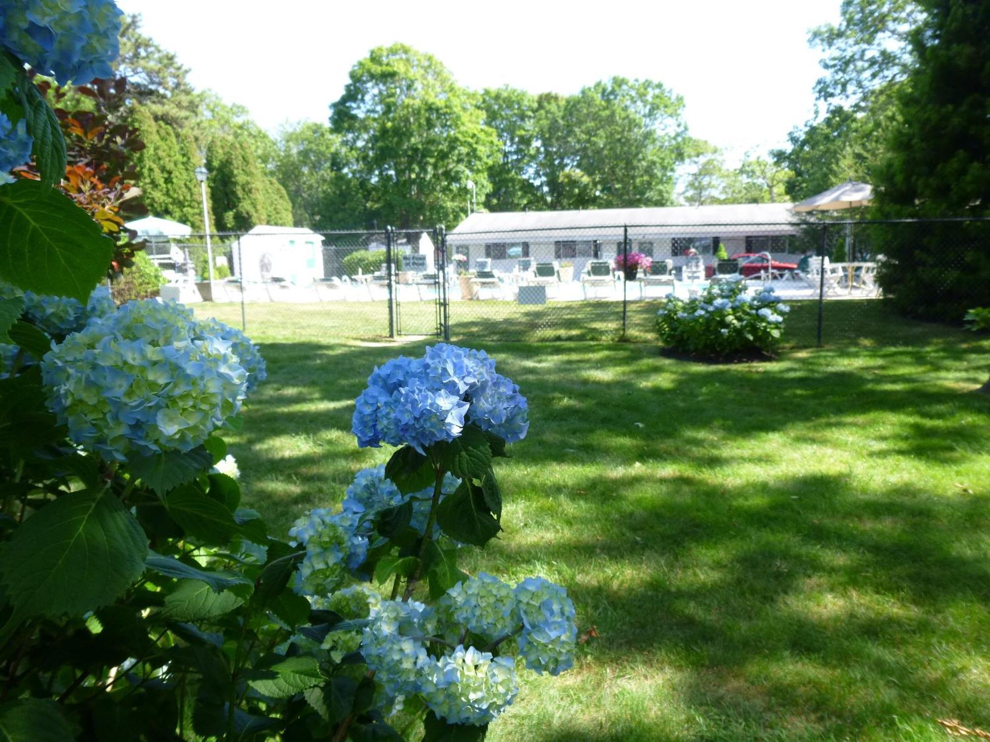 Falmouth Heights Motor Lodge Extérieur photo